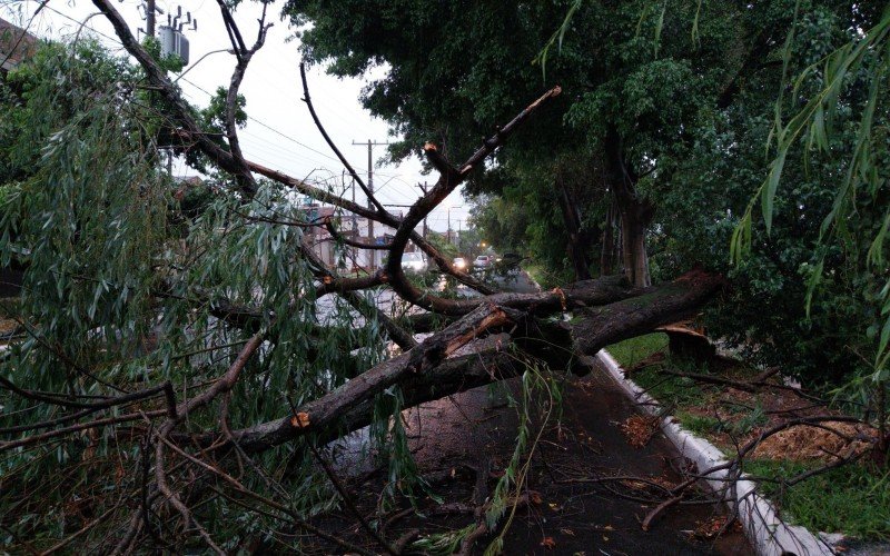 Estragos do temporal em Novo Hamburgo