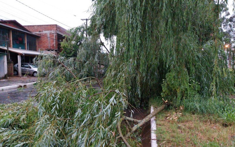 Estragos do temporal em Novo Hamburgo