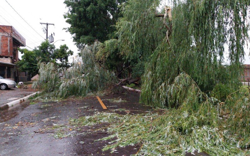 Estragos do temporal em Novo Hamburgo