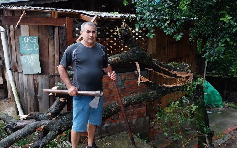 InocÃªncio viu Ã¡rvore tombar em frente Ã  sua casa