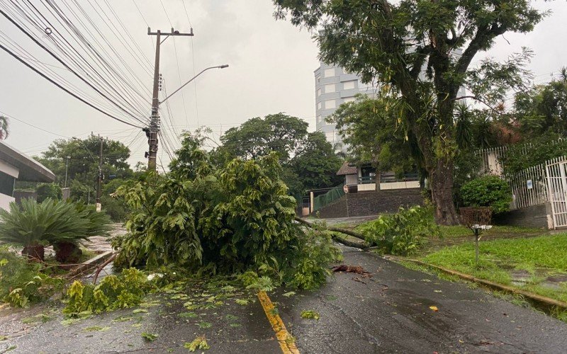 Temporal causa estragos em Novo Hamburgo