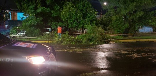 Defesa Civil foi às ruas ajudar após temporal do domingo