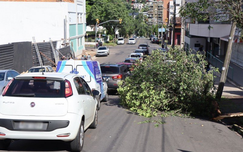 Árvore obstruiu uma das pistas da rua Santos Pedroso, no Bairro Hamburgo Velho, em Novo Hamburgo | abc+