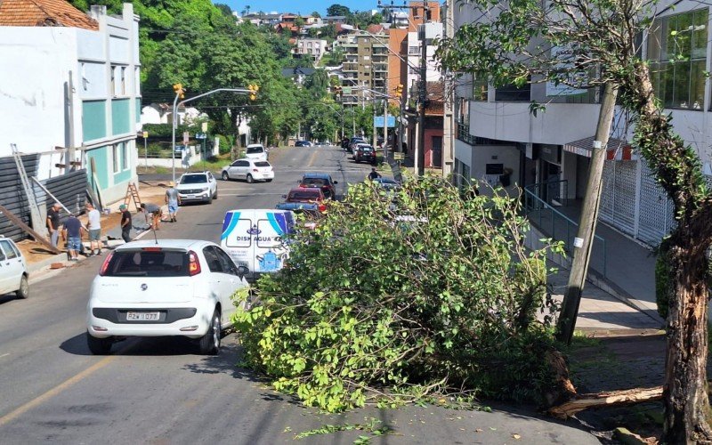 Estragos causados pelo temporal em Novo Hamburgo