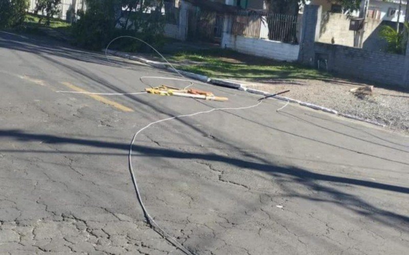 Árvore caída na Rua Valparaíso, no bairro Santo Afonso | abc+