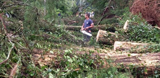 Canela registra estragos por causa da tempestade