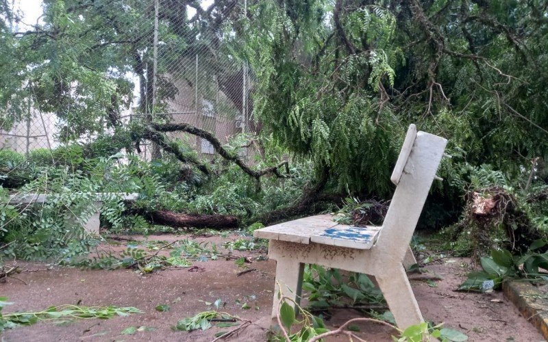 Árvores caídas no bairro Santo Antônio, em Porto Alegre