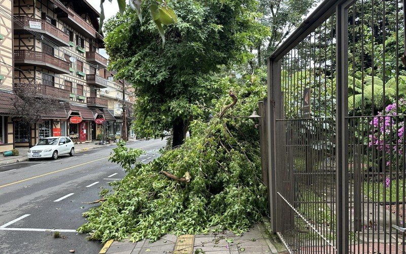 Quedas de árvores e postes deixaram bairros sem energia elétrica
