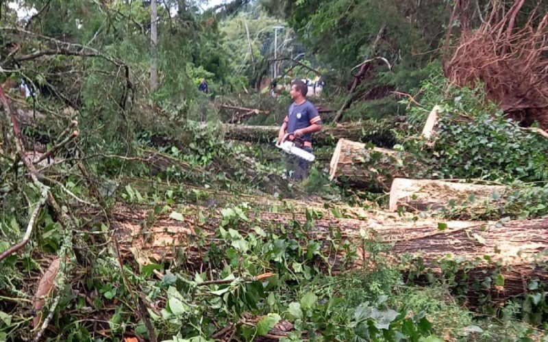 Canela registra estragos por causa da tempestade | abc+