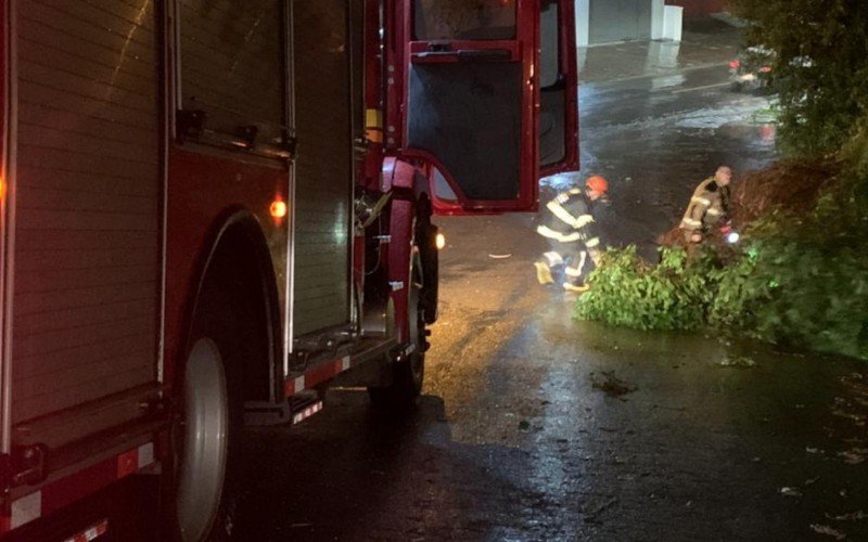 Bombeiros removem galho caído sobre via pública no bairro Canudos, em Novo Hamburgo | abc+
