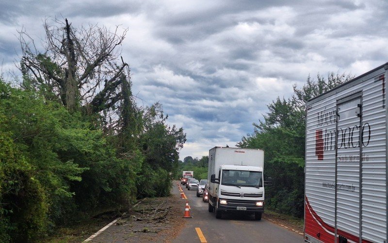 Taquara tem rodovias obstruÃ­das por Ã¡rvores e casas destelhadas