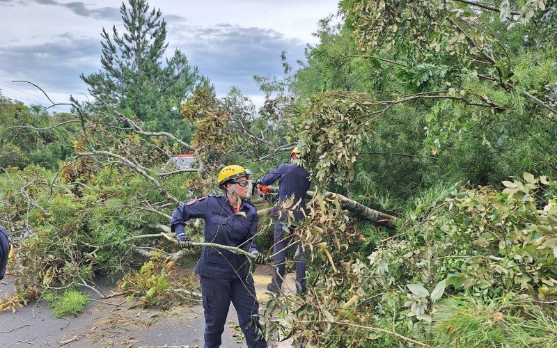 Tempestade causa estragos em Rolante 