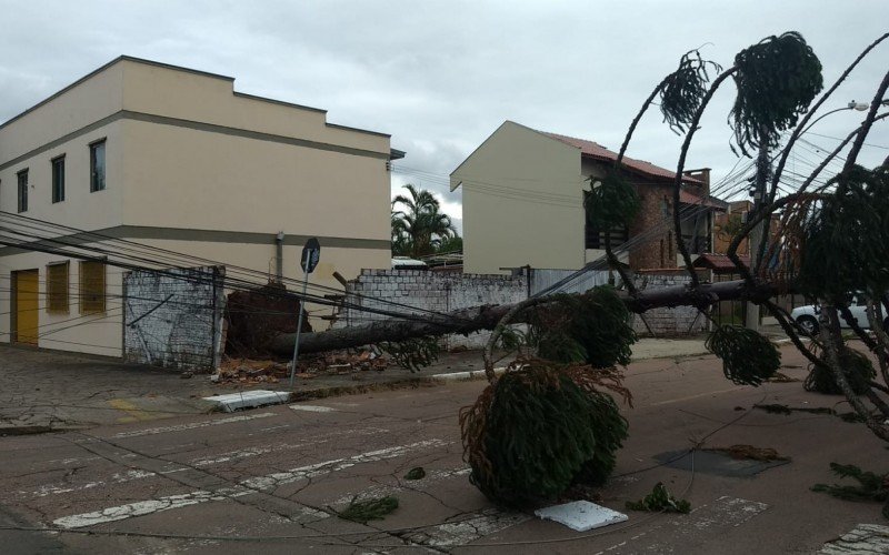 Em Canoas, uma Ã¡rvore despencou em cima de um muro bloqueando o trÃ¢nsito no bairro NiterÃ³i
