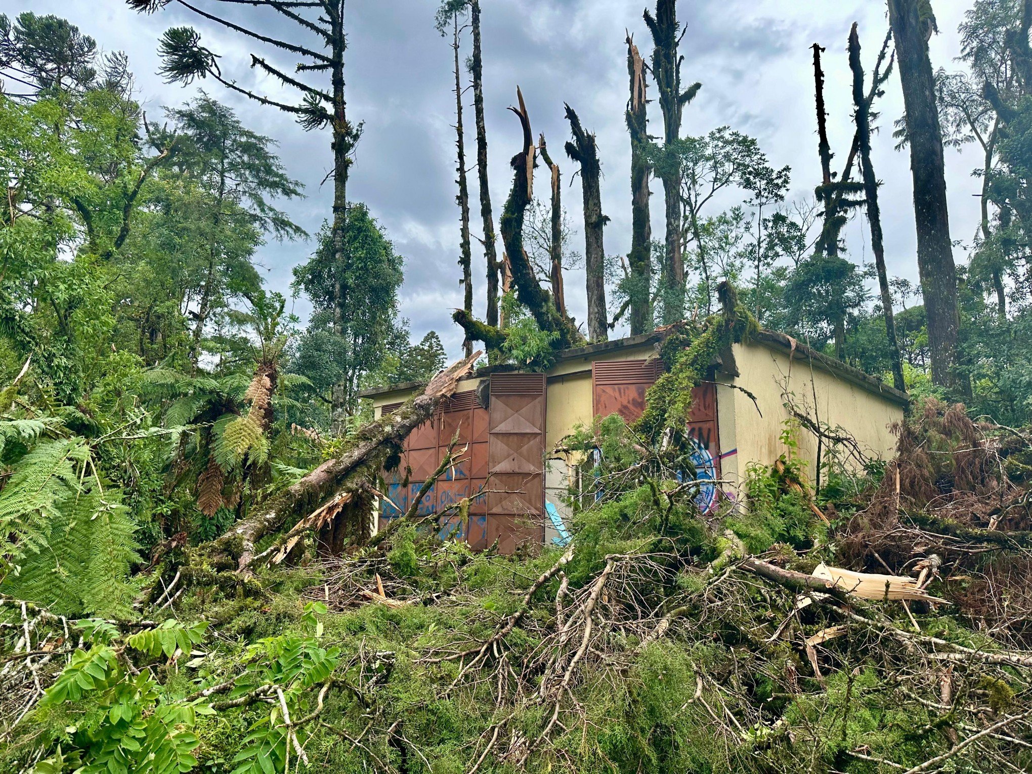 TEMPESTADE: Hospital de Gramado lança vaquinha virtual para reparar danos causados pelo temporal