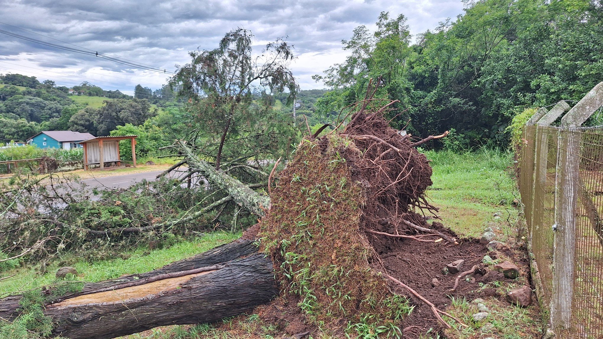 TEMPESTADE: Vale do Paranhana tem rodovias obstruídas por árvores e casas destelhadas; veja fotos