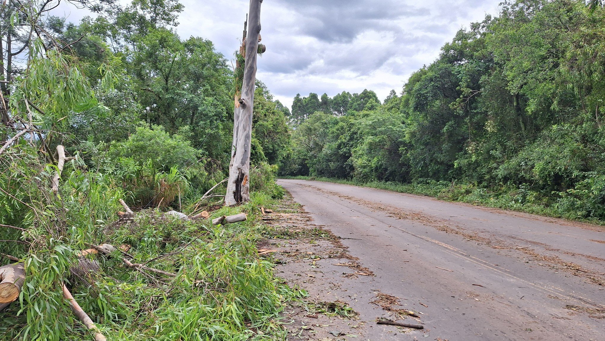 TEMPESTADE: Saiba em quais rodovias há bloqueios no Rio Grande do Sul; BR-116 está na lista