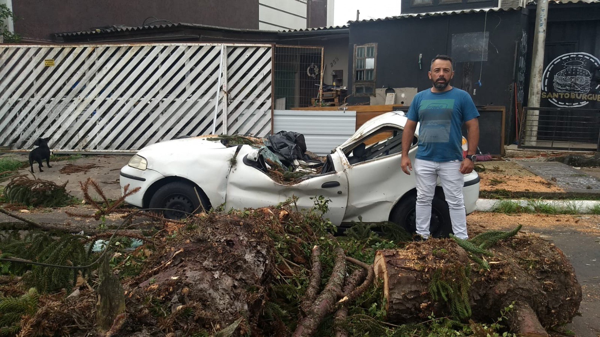 VÍDEO: Carro é atingido por tronco de 9 toneladas em Canoas. "Nasci de novo", diz morador