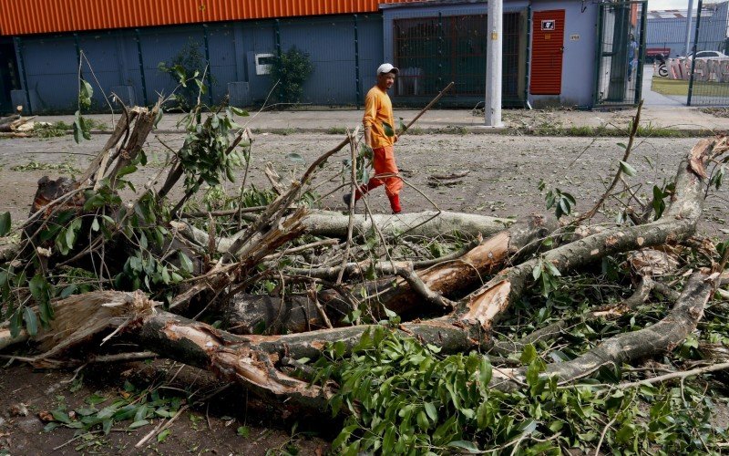 Remoção no bairro Rio Branco é executada por operários na manhã desta sexta-feira (19)