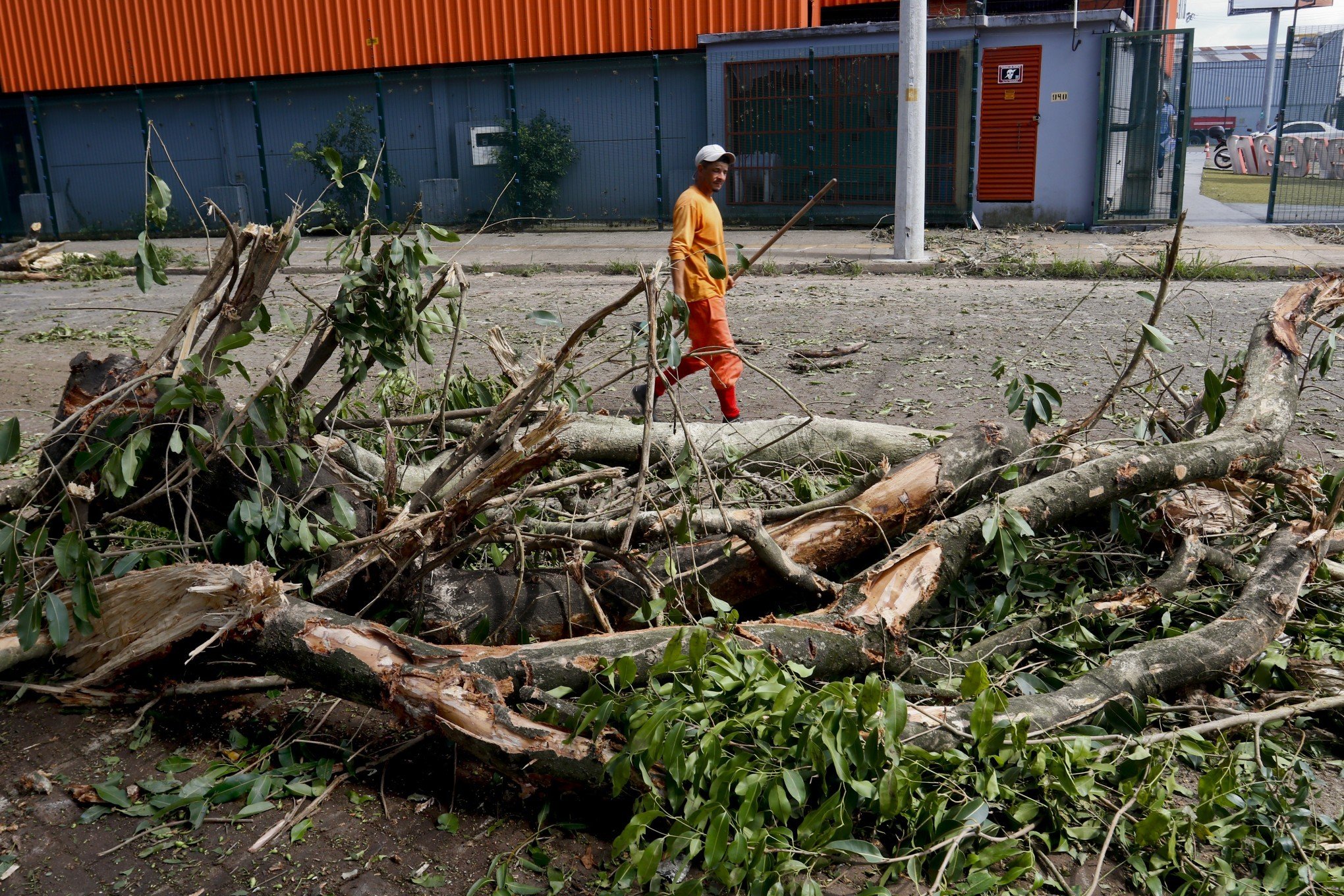 TEMPESTADE: Prefeitura de Canoas monta força-tarefa para remover árvores obstruindo vias