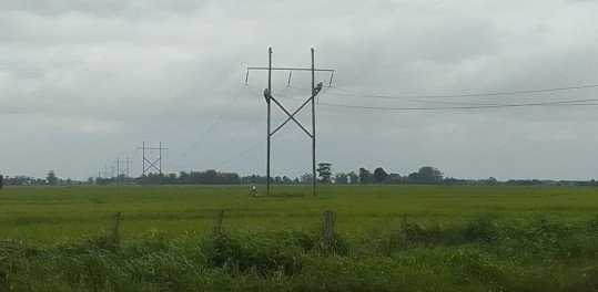 AviÃ£o atinge fio de rede de energia elÃ©trica e quase 20 mil clientes ficam sem luz no Rio Grande do Sul