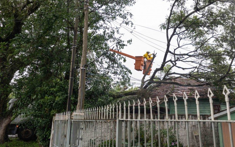 Equipes trabalham para retirar árvores sobre os fios de energia