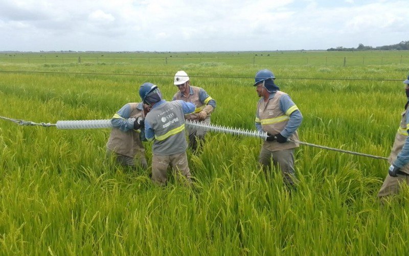 AviÃ£o atinge fio de rede de energia elÃ©trica e quase 20 mil clientes ficam sem luz no Rio Grande do Sul