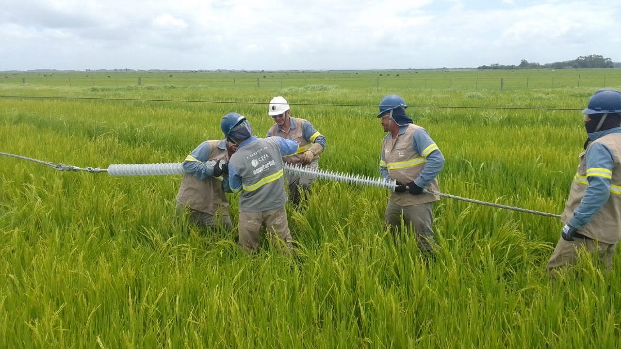 Avião atinge rede de energia elétrica e quase 20 mil clientes ficam sem luz no Rio Grande do Sul