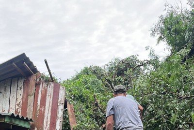 Árvores caíram e destruíram a residência de Paloma e Diego