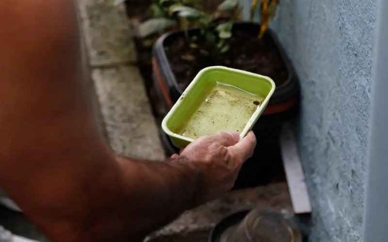 Estratégias de combate da dengue