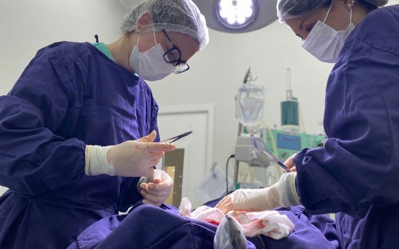 Cirurgia da Ã¡rea de oncologia do Hovet da Feevale