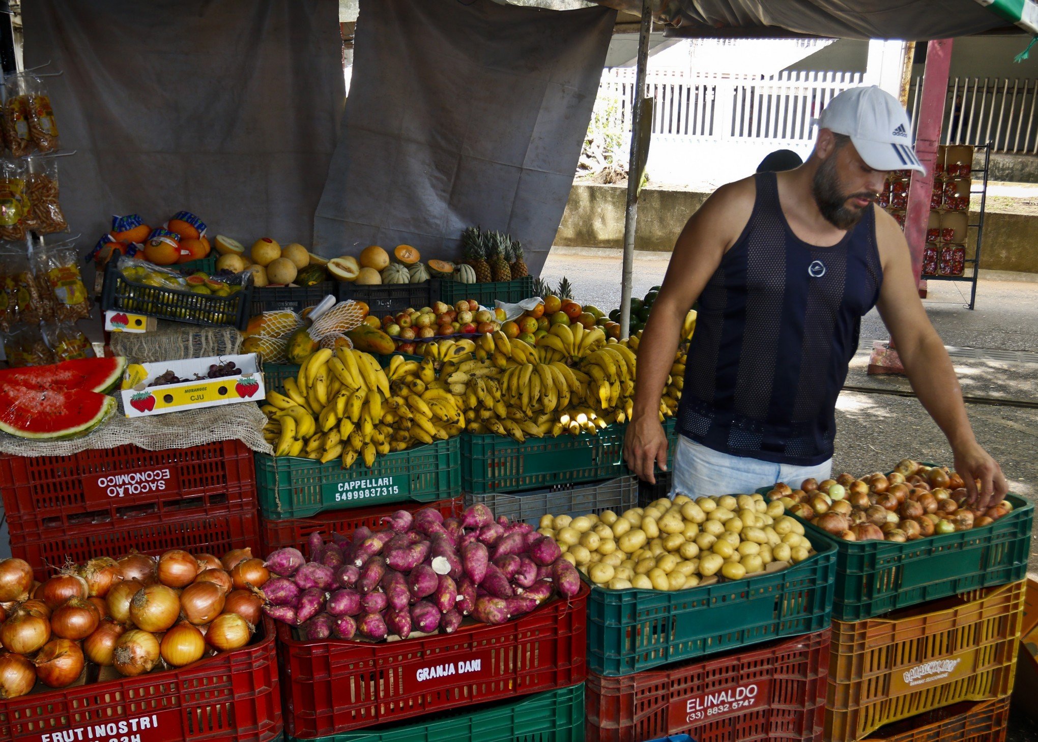 Frutas e legumes muito mais caros após os dois últimos temporais