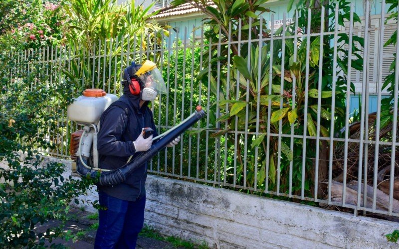 Decreto deve ampliar acesso aos recursos para combate ao mosquito transmissor | abc+