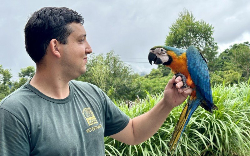 Trabalho regenerativo Ã© feito no Gramadozoo