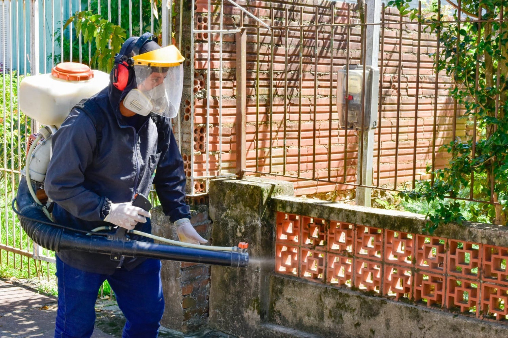 DENGUE: Casos confirmados aumentam 60,8% em apenas três dias e veneno é aplicado em Novo Hamburgo; saiba como se prevenir