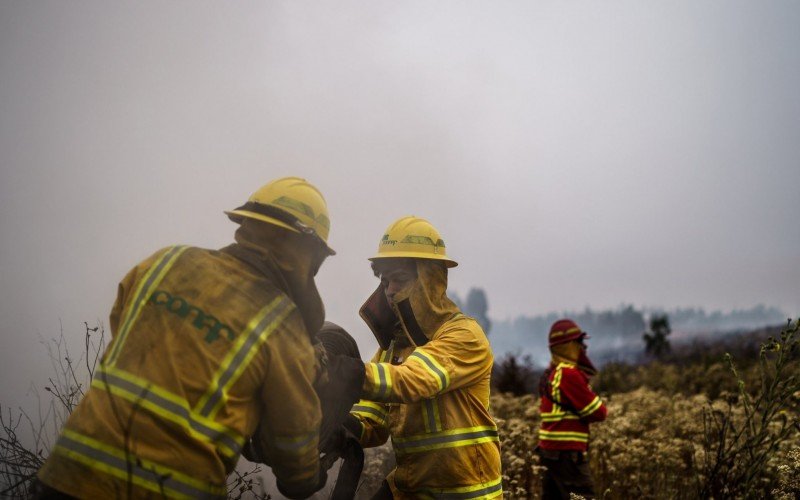 Número de mortos por incêndios florestais sobe no Chile | abc+