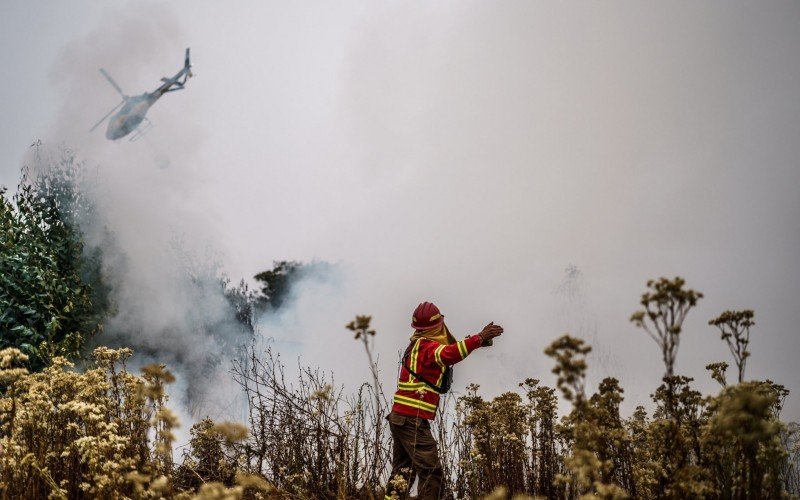 Chile soma 131 mortos por incêndios florestais | abc+