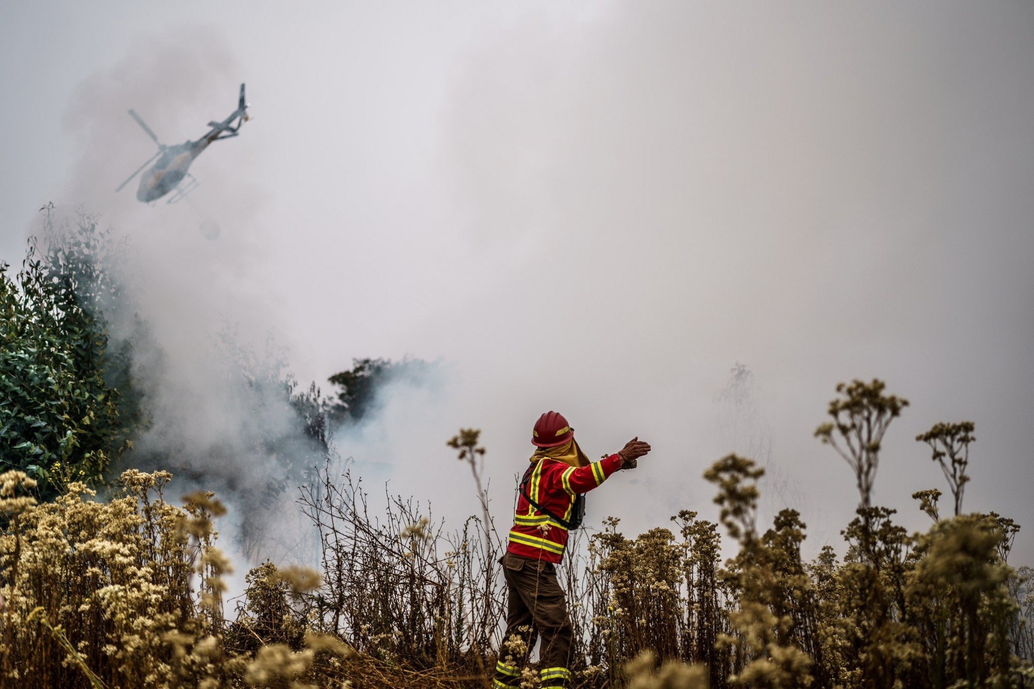 CHILE: Incêndios florestais deixam 131 mortos; seguem buscas por desaparecidos