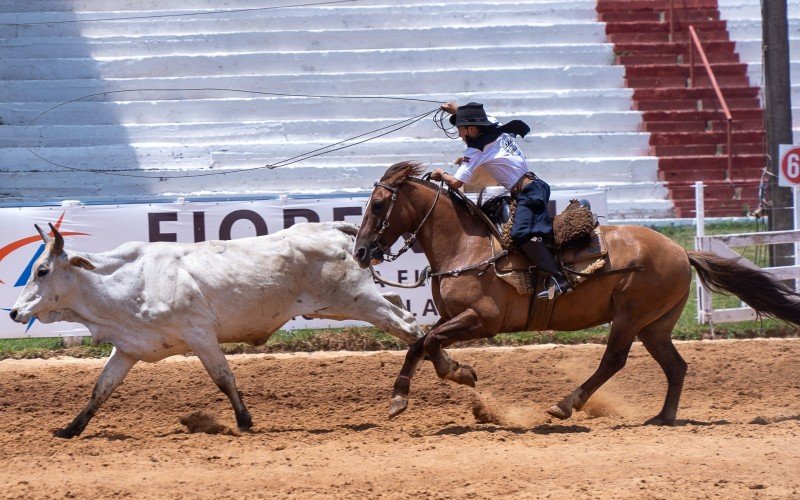 Estudo indica que rodeios movimentaram mais de R$ 2 bilhões no Rio Grande do Sul em 2023  | abc+