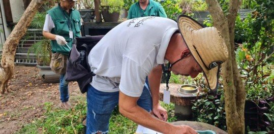 AÃ§Ãµes contra a dengue em SÃ£o Leopoldo