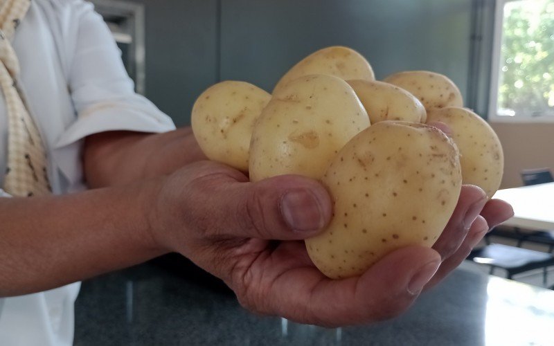 Valor do quilo da batata inglesa varia de R$ 7,98 a R$ 13,39 em supermercados de Novo Hamburgo | abc+