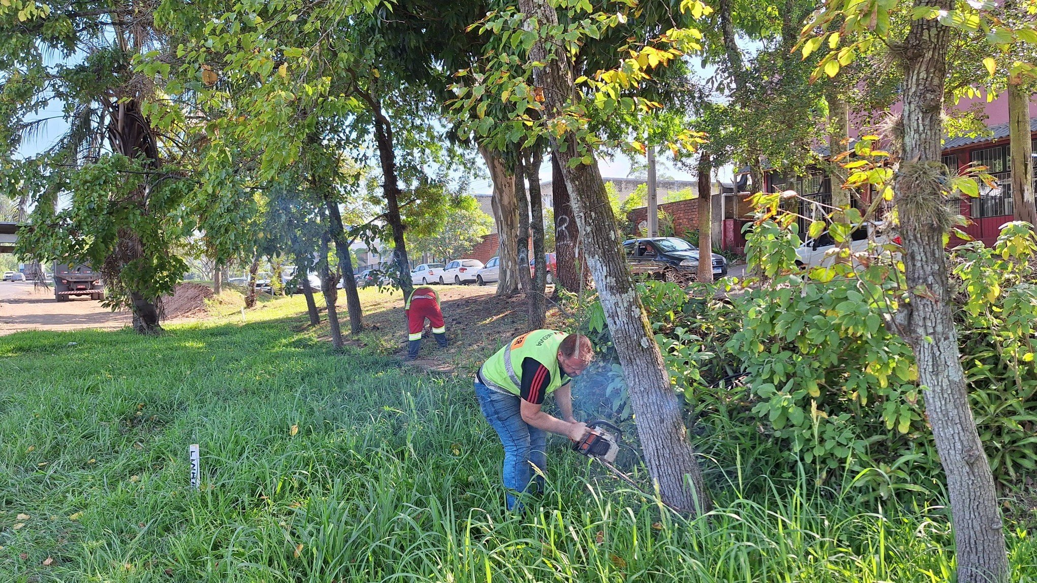 BR-116: Árvores são derrubadas entre Novo Hamburgo e Estância Velha; veja vídeo e entenda o motivo