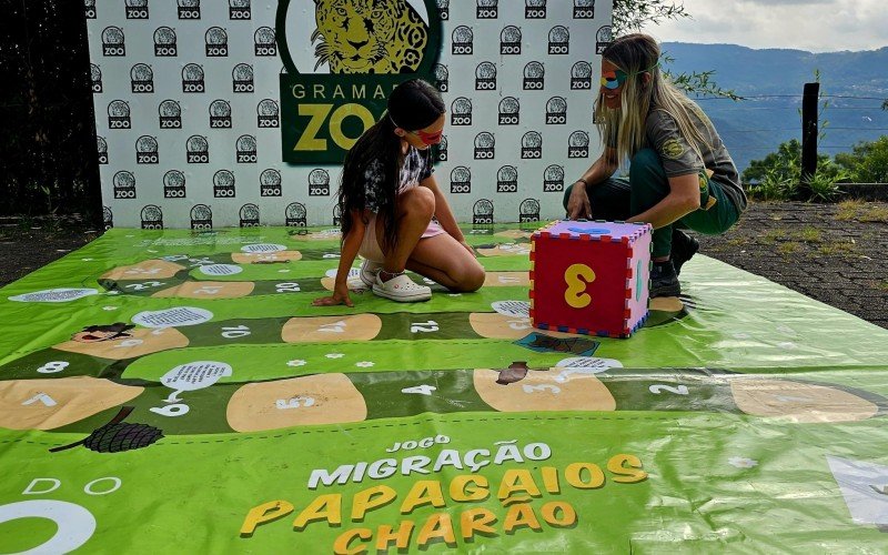 Jogo de tabuleiro será atração de Carnaval no Gramadozoo