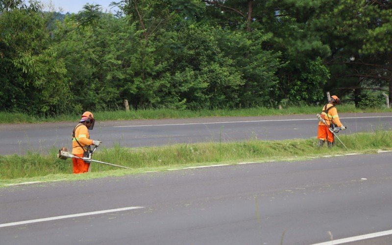 Novo Hamburgo terá serviços de roçadas na RS-239 | abc+