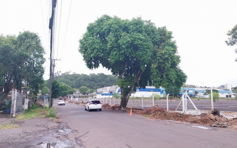 Calçadas junto à Fenac, na Rua Araxá, passam por mudanças | abc+