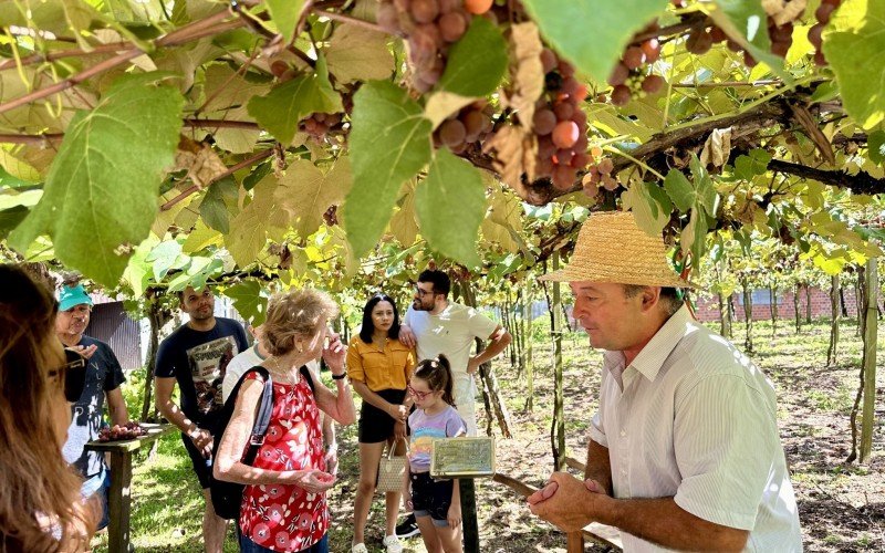 Vindima em Gramado, na Família Lazaretti