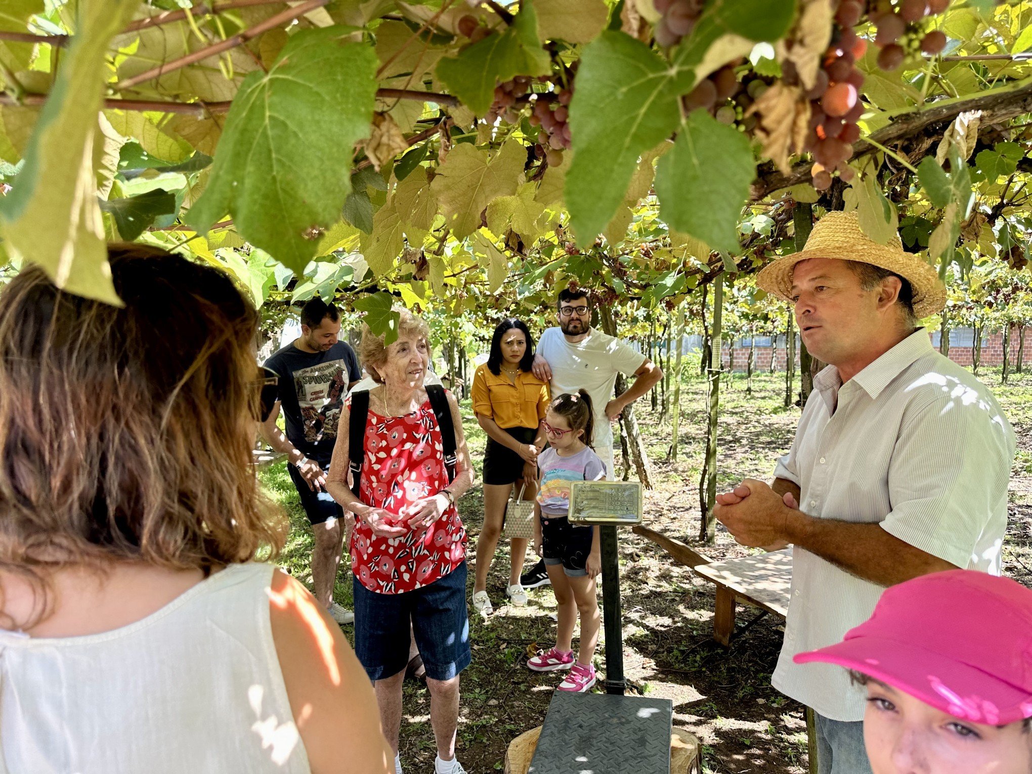 Conheça a família que possui tradição há 144 anos em produzir e cultivar uvas em Gramado