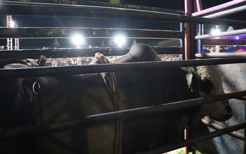 Abertura do 11Âº EstÃ¢ncia Rodeio Show