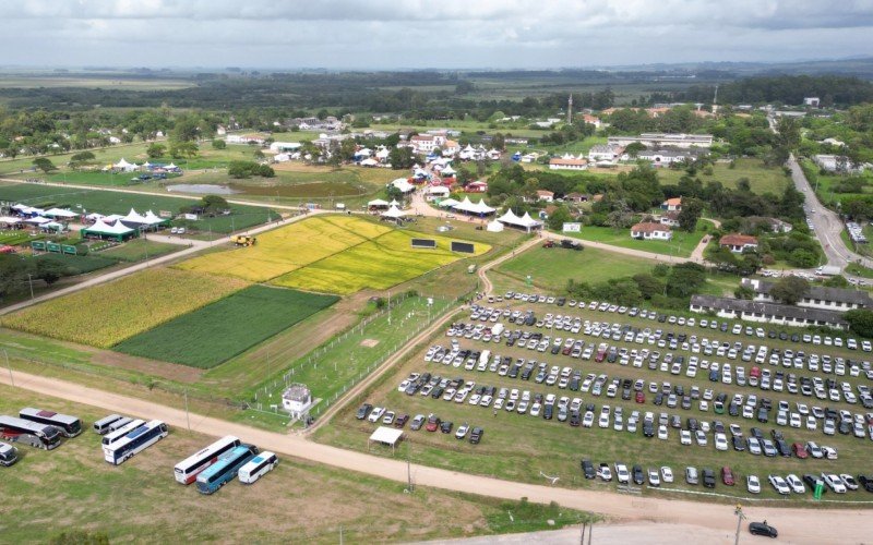 Cerca de 15 mil pessoas são esperadas na Abertura Oficial da Colheita do Arroz e Grãos em Terras Baixas | abc+