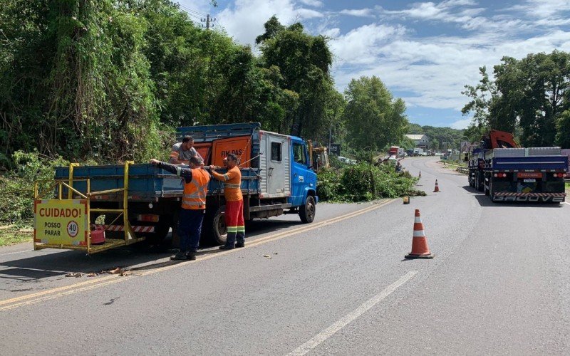 No fim da manhÃ£, trabalhadores faziam podas de Ã¡rvores Ã s margens da BR-116