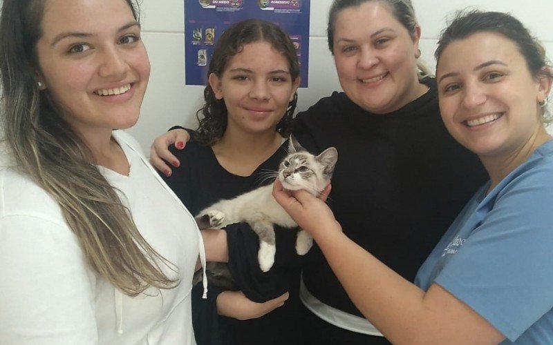 Secretaria da Saúde comemora adoção de gatos e marca nova feira com filhotes de cachorros 